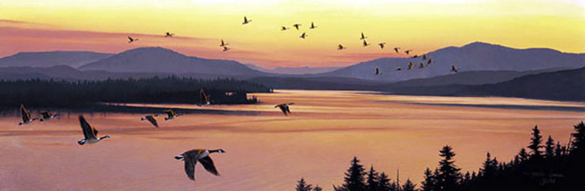 Sounds of Sunset